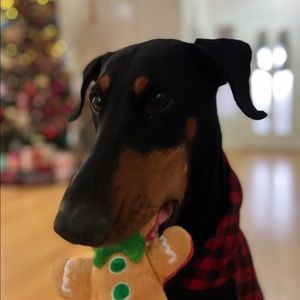 Meet your Posher, Ana